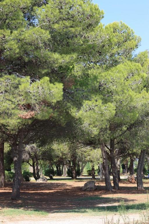 Casa Mireia I Paula Villa Riumar Kültér fotó